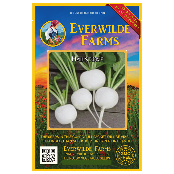 Organic NON-GMO Radish Hailstone White Radish Seed 50 seeds per package